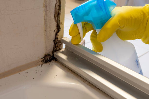 Best Emergency Mold Removal  in Barneveld, WI