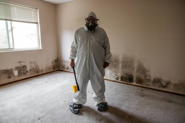 Best Certified Mold Removal  in Barneveld, WI
